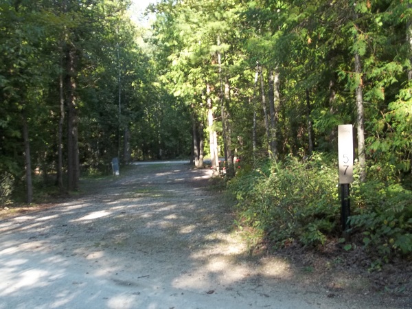 Wooded pull-through campsite